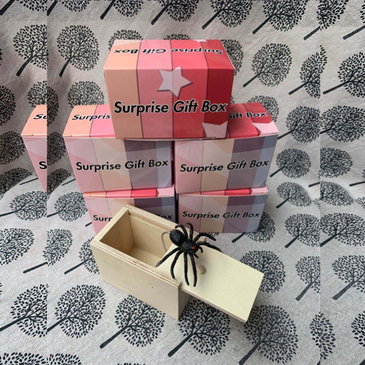 Super Funny Crazy Prank Gift Box Spider
