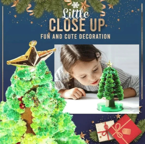 Magic Growing Christmas Tree