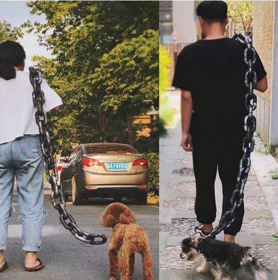 The Chain Paws - Funniest Pet Chain