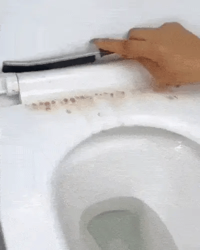 Scrub Brush