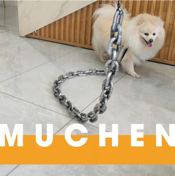 The Chain Paws - Funniest Pet Chain