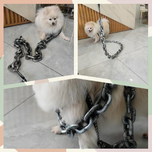 The Chain Paws - Funniest Pet Chain