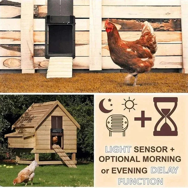 (🎉Flash Sale🎉- 40% OFF)-Automatic Chicken House Door