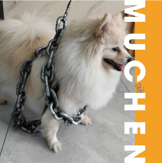 The Chain Paws - Funniest Pet Chain