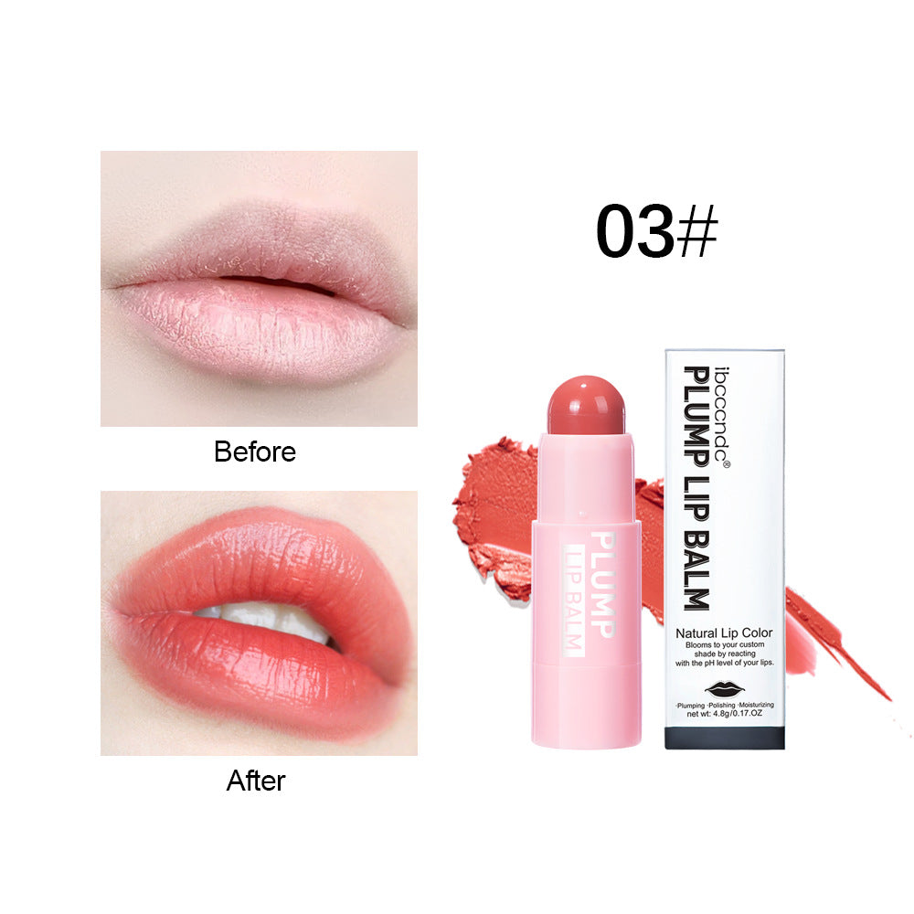 Instantly Plump Lip Balm✨