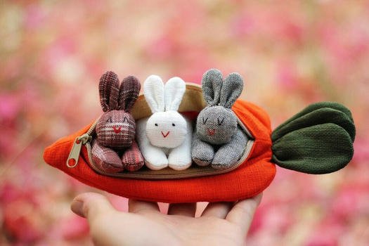 Hide and Seek Bunnies in Carrot Pouch