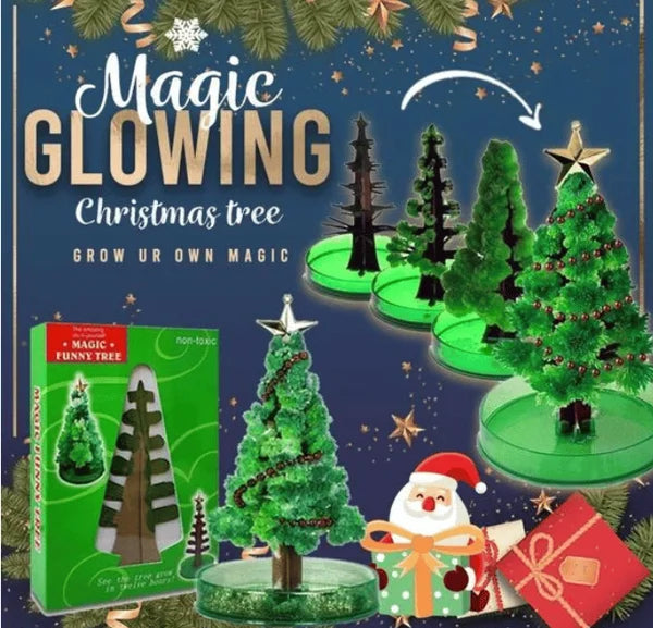 Magic Growing Christmas Tree