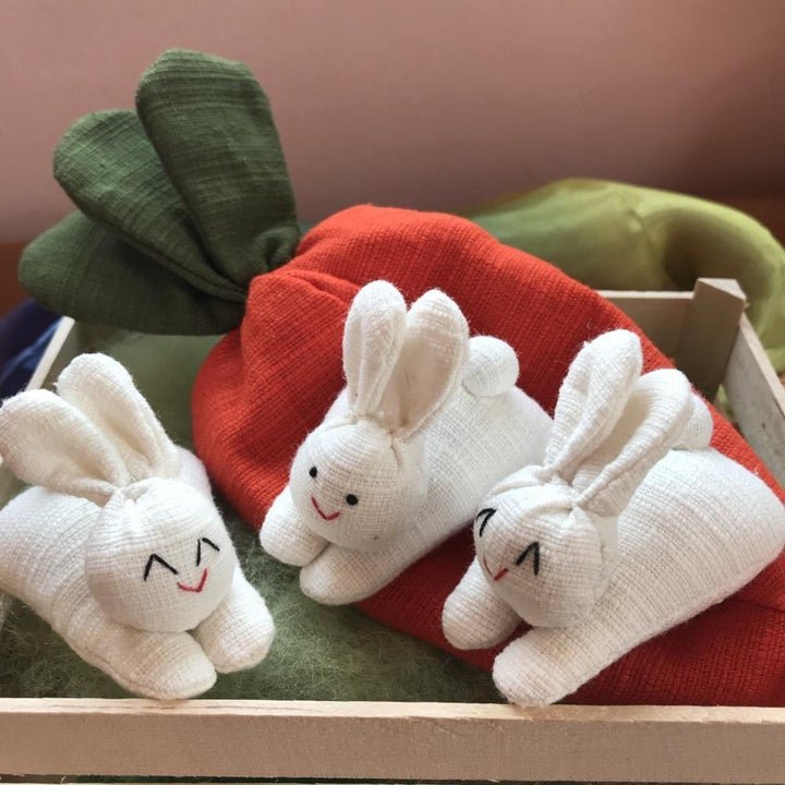 Hide and Seek Bunnies in Carrot Pouch