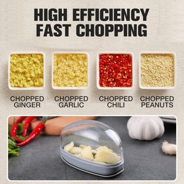 Manual garlic slicer