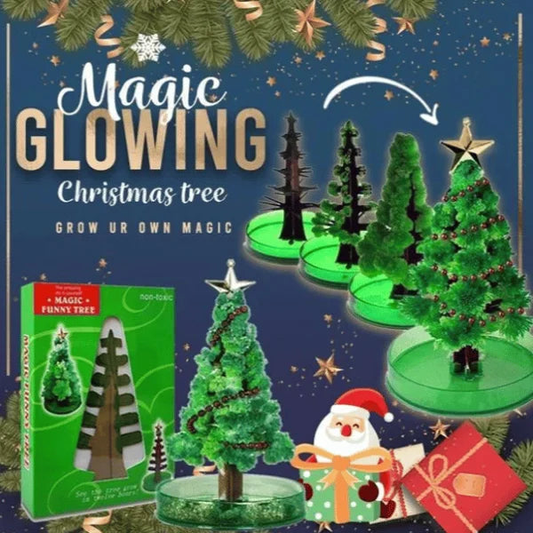 Magic Growing Christmas Tree