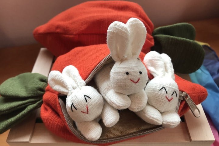 Hide and Seek Bunnies in Carrot Pouch