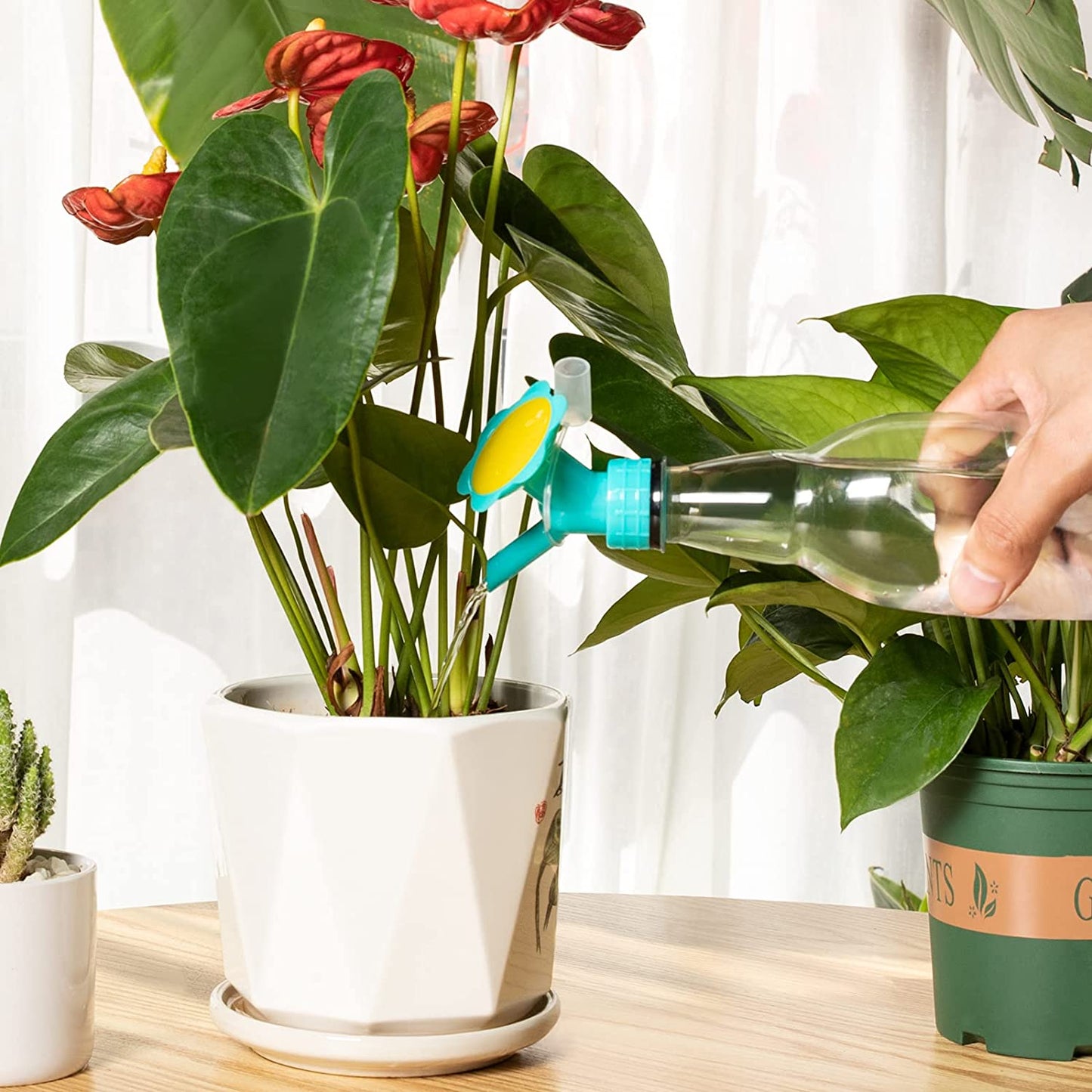 2 In 1 Bottle Cap Sprinkler