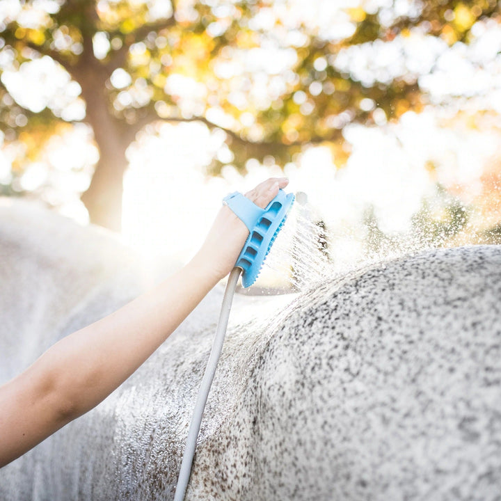 Pet Cleaning Outdoor Shower Bath Brush Dog